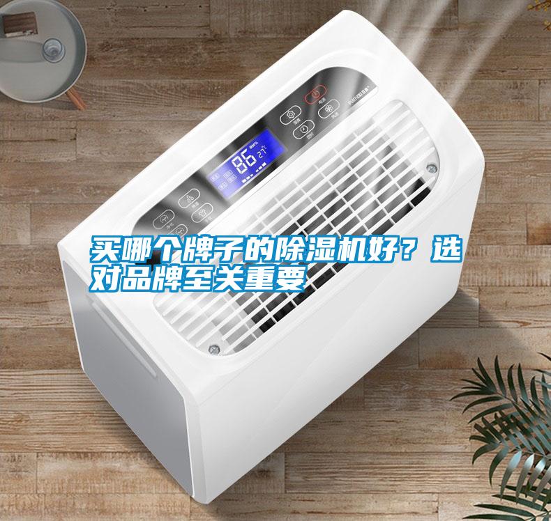 買哪個(gè)牌子的除濕機(jī)好？選對(duì)品牌至關(guān)重要