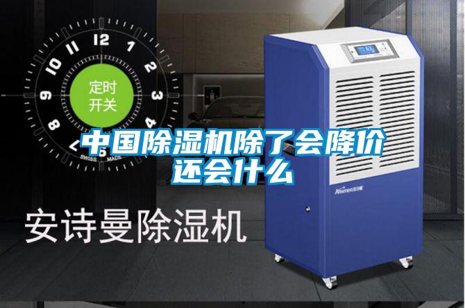 中國除濕機(jī)除了會(huì)降價(jià)還會(huì)什么