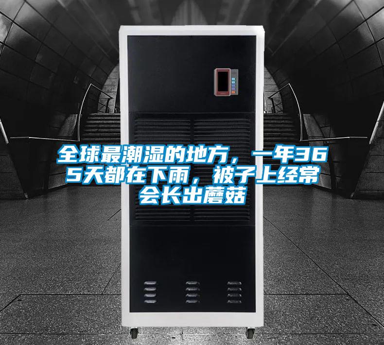 全球最潮濕的地方，一年365天都在下雨，被子上經常會長出蘑菇