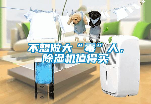 不想做大“霉”人，除濕機(jī)值得買