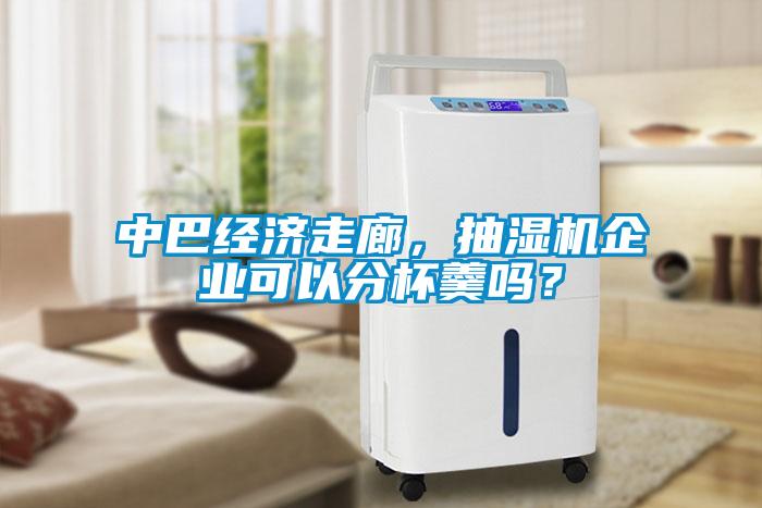中巴經(jīng)濟走廊，抽濕機企業(yè)可以分杯羹嗎？