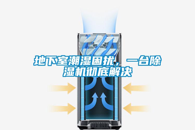 地下室潮濕困擾，一臺除濕機徹底解決