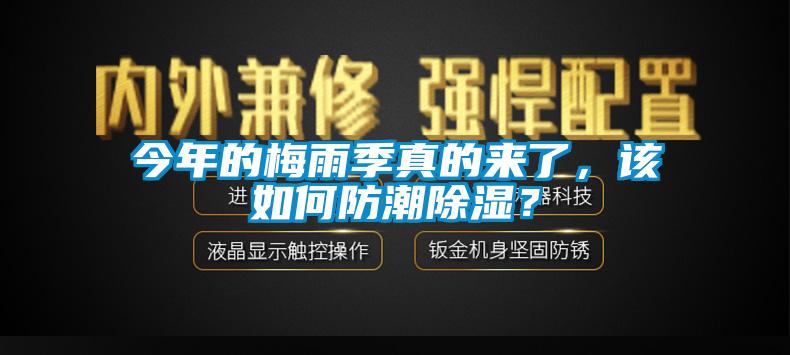 今年的梅雨季真的來了，該如何防潮除濕？