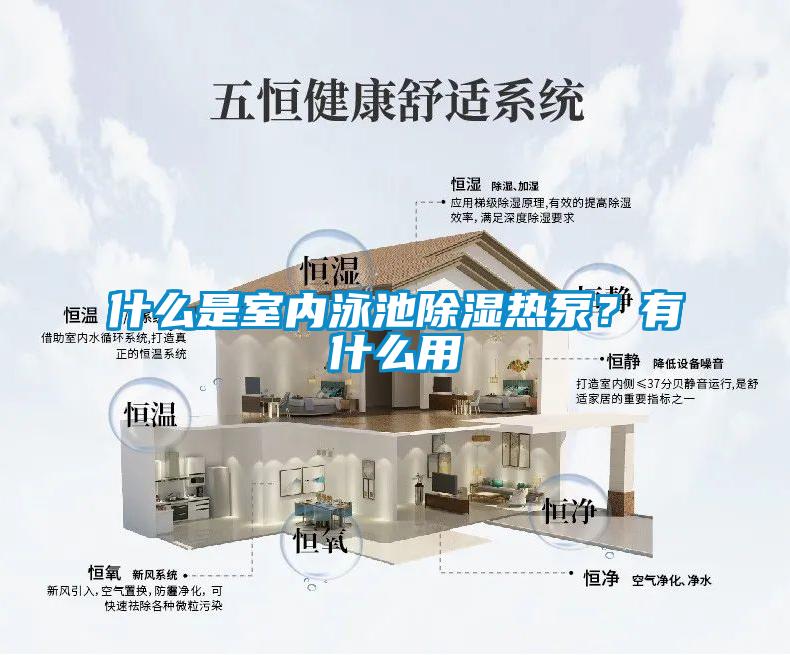 什么是室內泳池除濕熱泵？有什么用