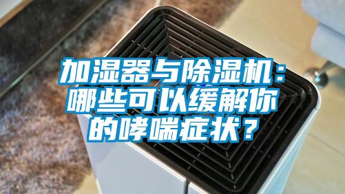 加濕器與除濕機：哪些可以緩解你的哮喘癥狀？
