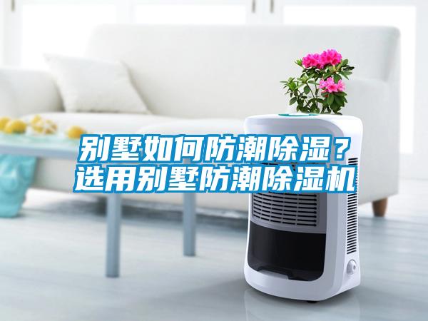 別墅如何防潮除濕？選用別墅防潮除濕機