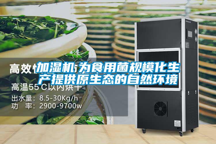加濕機　為食用菌規?；a提供原生態的自然環境