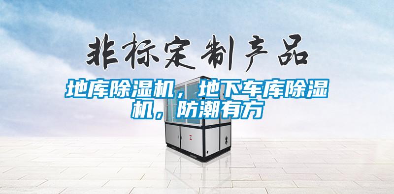 地庫除濕機，地下車庫除濕機，防潮有方