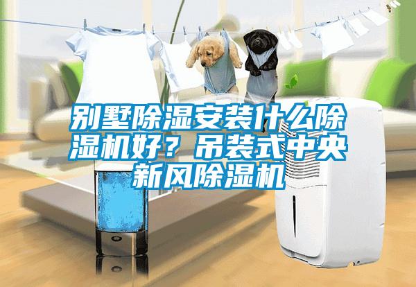 別墅除濕安裝什么除濕機好？吊裝式中央新風除濕機