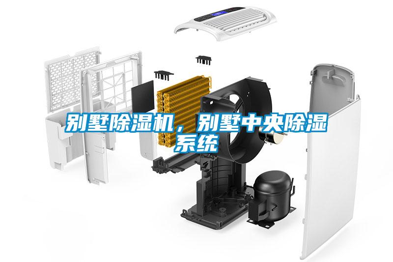 別墅除濕機，別墅中央除濕系統