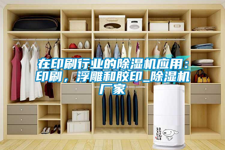 在印刷行業的除濕機應用：印刷，浮雕和膠印_除濕機廠家