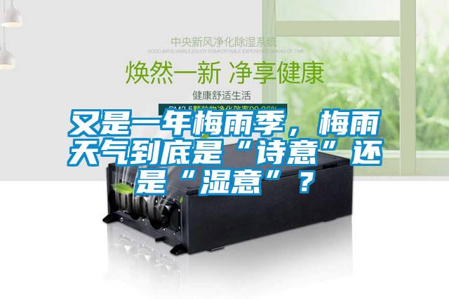 又是一年梅雨季，梅雨天氣到底是“詩意”還是“濕意”？