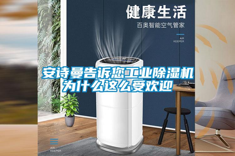安詩(shī)曼告訴您工業(yè)除濕機(jī)為什么這么受歡迎