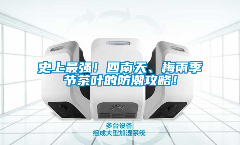 史上最強！回南天、梅雨季節茶葉的防潮攻略！
