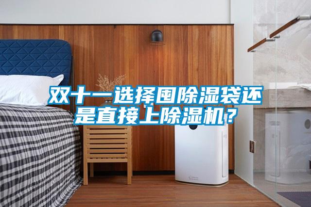 雙十一選擇囤除濕袋還是直接上除濕機？