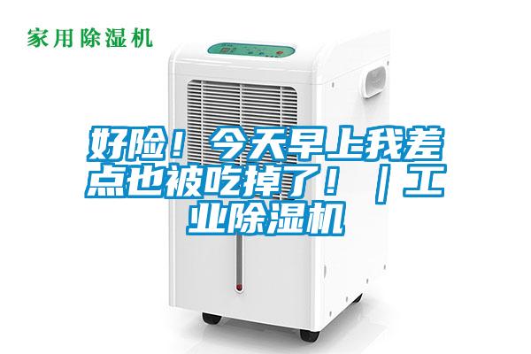 好險！今天早上我差點也被吃掉了?。I除濕機