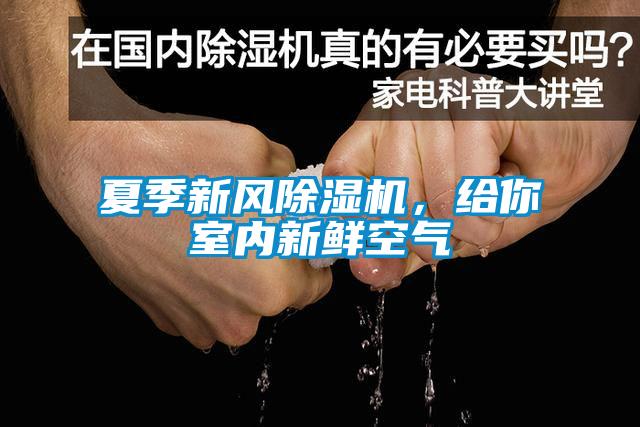 夏季新風(fēng)除濕機(jī)，給你室內(nèi)新鮮空氣
