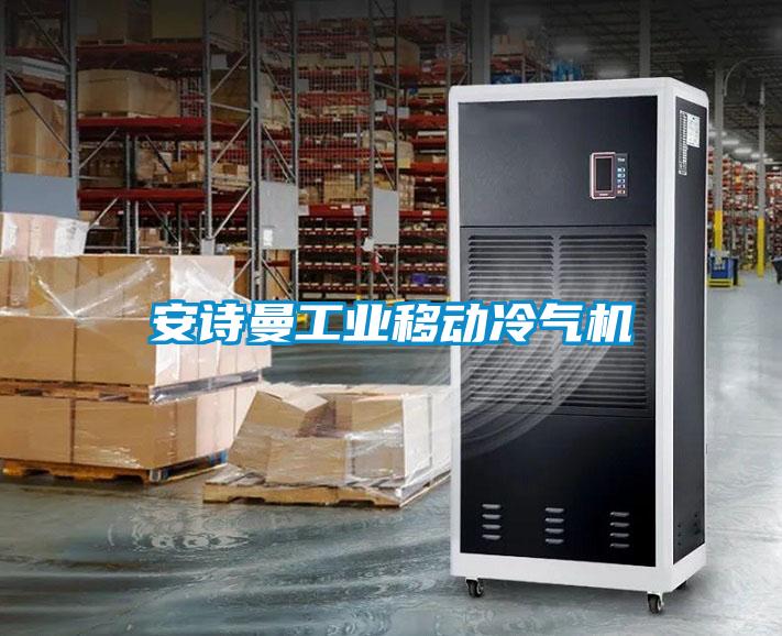 安詩(shī)曼工業(yè)移動(dòng)冷氣機(jī)