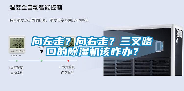 向左走？向右走？三叉路口的除濕機該咋辦？