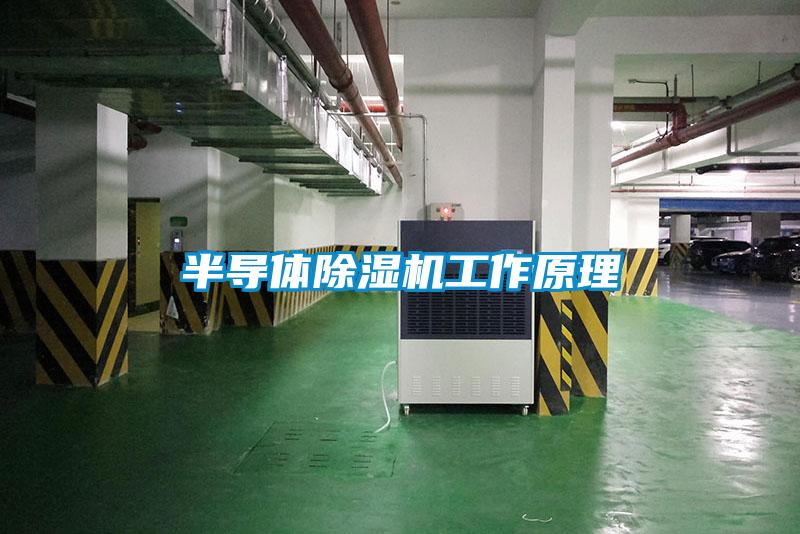 半導(dǎo)體除濕機工作原理