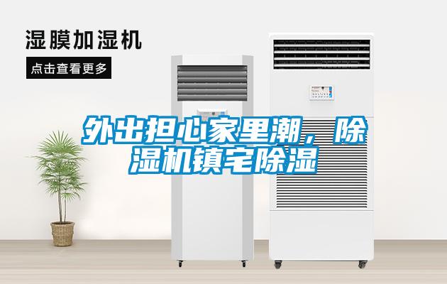 外出擔心家里潮，除濕機鎮宅除濕