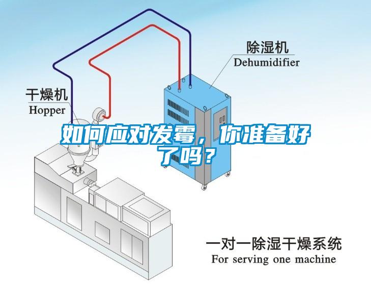 如何應對發霉，你準備好了嗎？