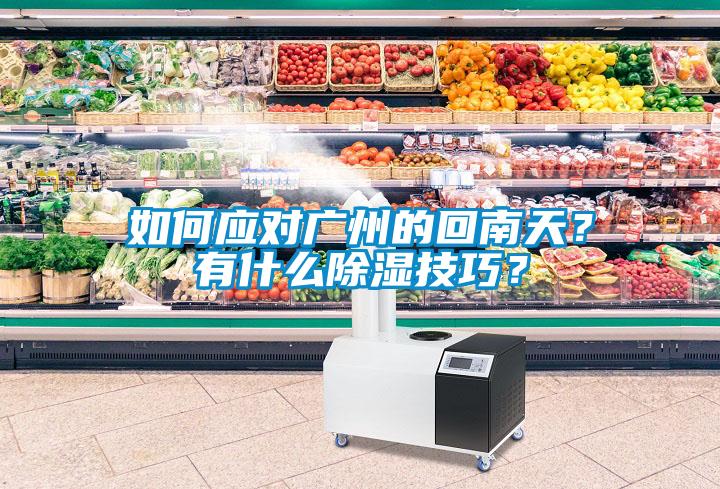 如何應(yīng)對(duì)廣州的回南天？有什么除濕技巧？