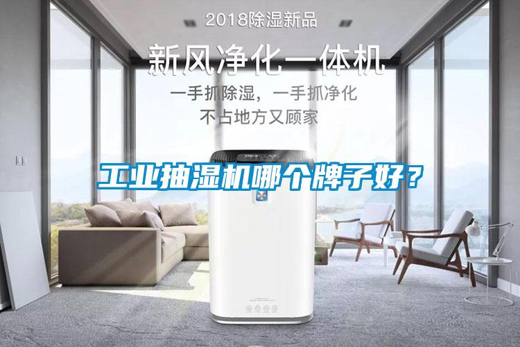 工業抽濕機哪個牌子好？