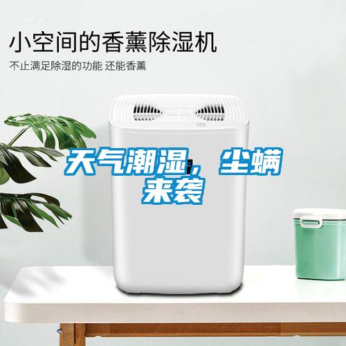 天氣潮濕，塵螨來襲