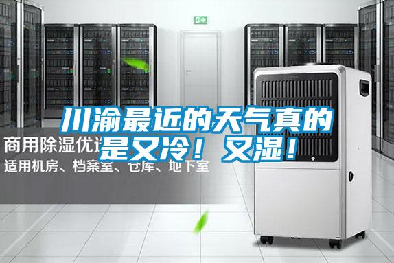 川渝最近的天氣真的是又冷！又濕！