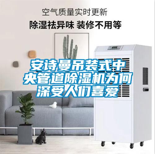 安詩(shī)曼吊裝式中央管道除濕機(jī)為何深受人們喜愛