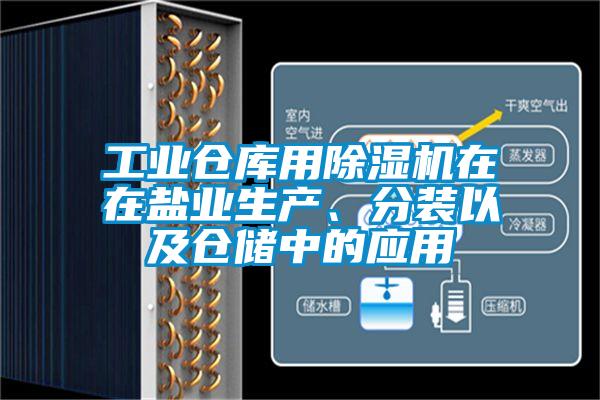 工業倉庫用除濕機在在鹽業生產、分裝以及倉儲中的應用