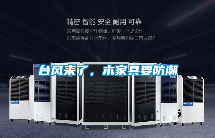 臺風來了，木家具要防潮