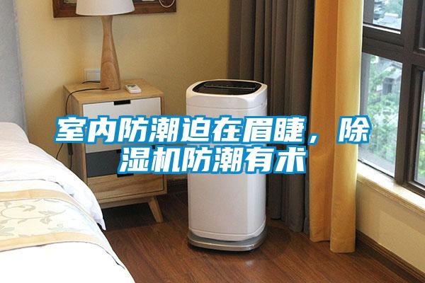 室內防潮迫在眉睫，除濕機防潮有術