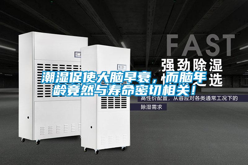 潮濕促使大腦早衰，而腦年齡竟然與壽命密切相關(guān)！
