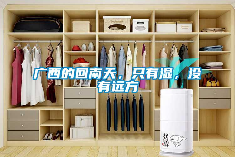 廣西的回南天，只有濕，沒(méi)有遠(yuǎn)方