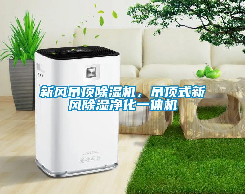 新風(fēng)吊頂除濕機，吊頂式新風(fēng)除濕凈化一體機