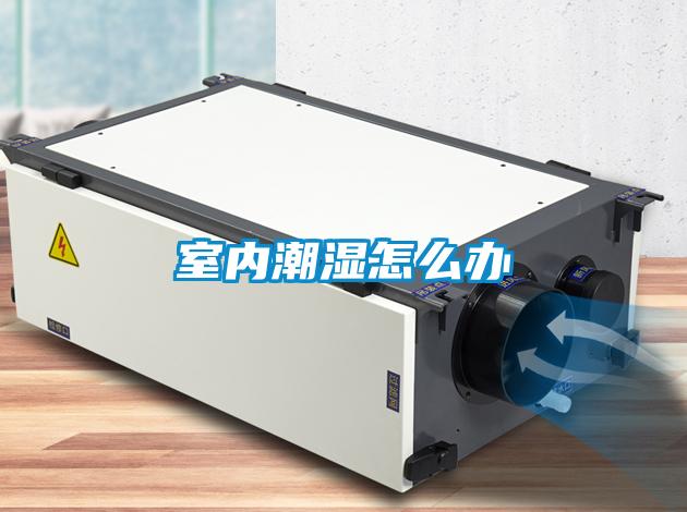 室內潮濕怎么辦