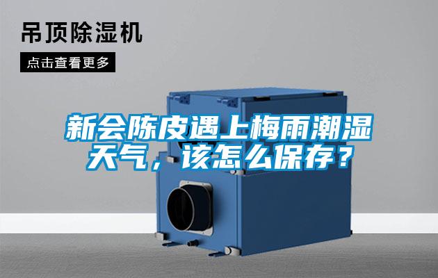 新會陳皮遇上梅雨潮濕天氣，該怎么保存？