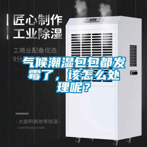 氣候潮濕包包都發霉了，該怎么處理呢？