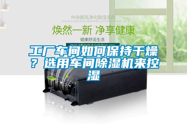 工廠車間如何保持干燥？選用車間除濕機(jī)來(lái)控濕
