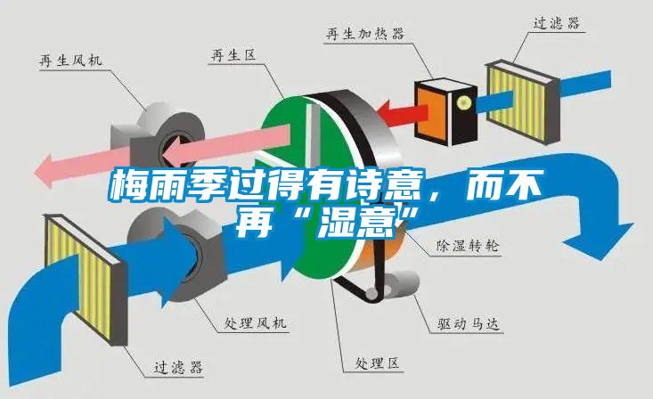 梅雨季過得有詩意，而不再“濕意”