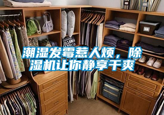 潮濕發霉惹人煩，除濕機讓你靜享干爽