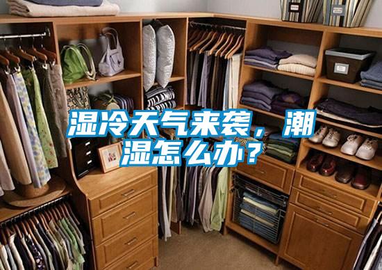 濕冷天氣來襲，潮濕怎么辦？