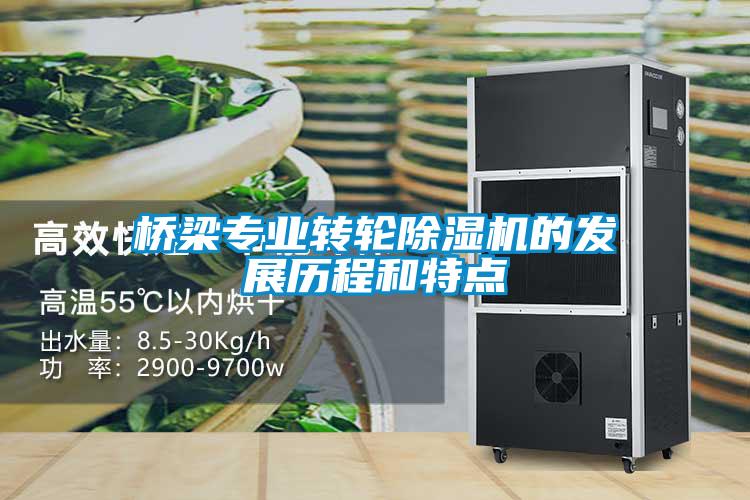 橋梁專業(yè)轉(zhuǎn)輪除濕機(jī)的發(fā)展歷程和特點(diǎn)