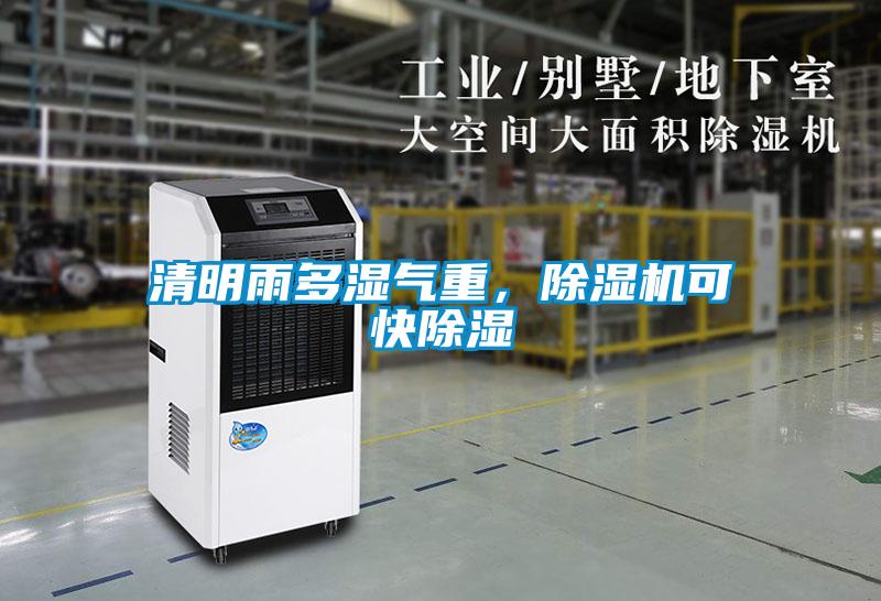 清明雨多濕氣重，除濕機可快除濕