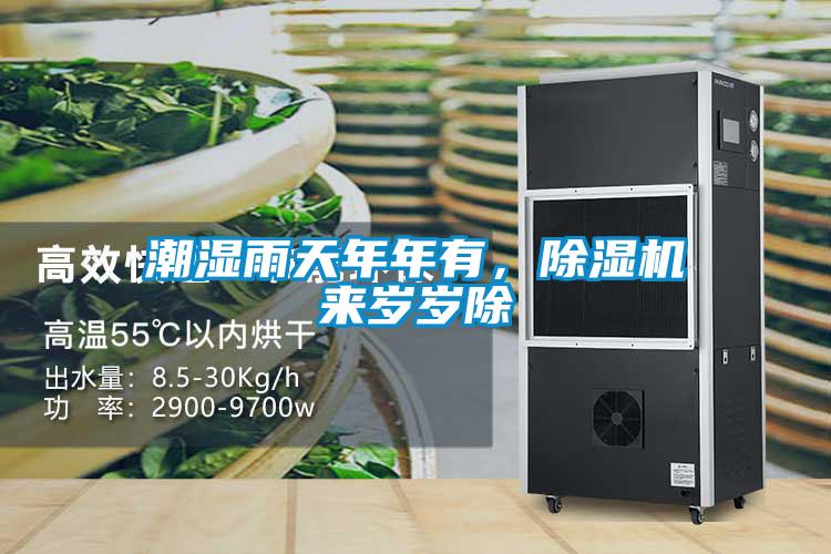 潮濕雨天年年有，除濕機(jī)來歲歲除