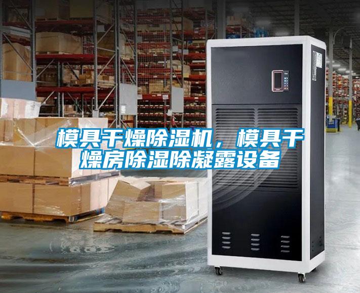 模具干燥除濕機，模具干燥房除濕除凝露設(shè)備