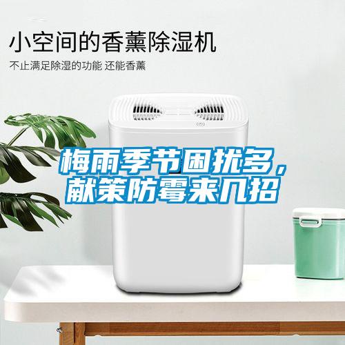 梅雨季節(jié)困擾多，獻策防霉來幾招