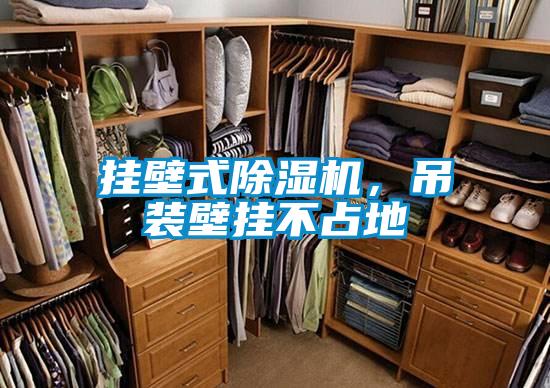 掛壁式除濕機，吊裝壁掛不占地